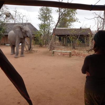 Caitlin S in Botswana